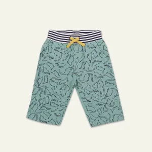Blue Dinosaur Print Shorts