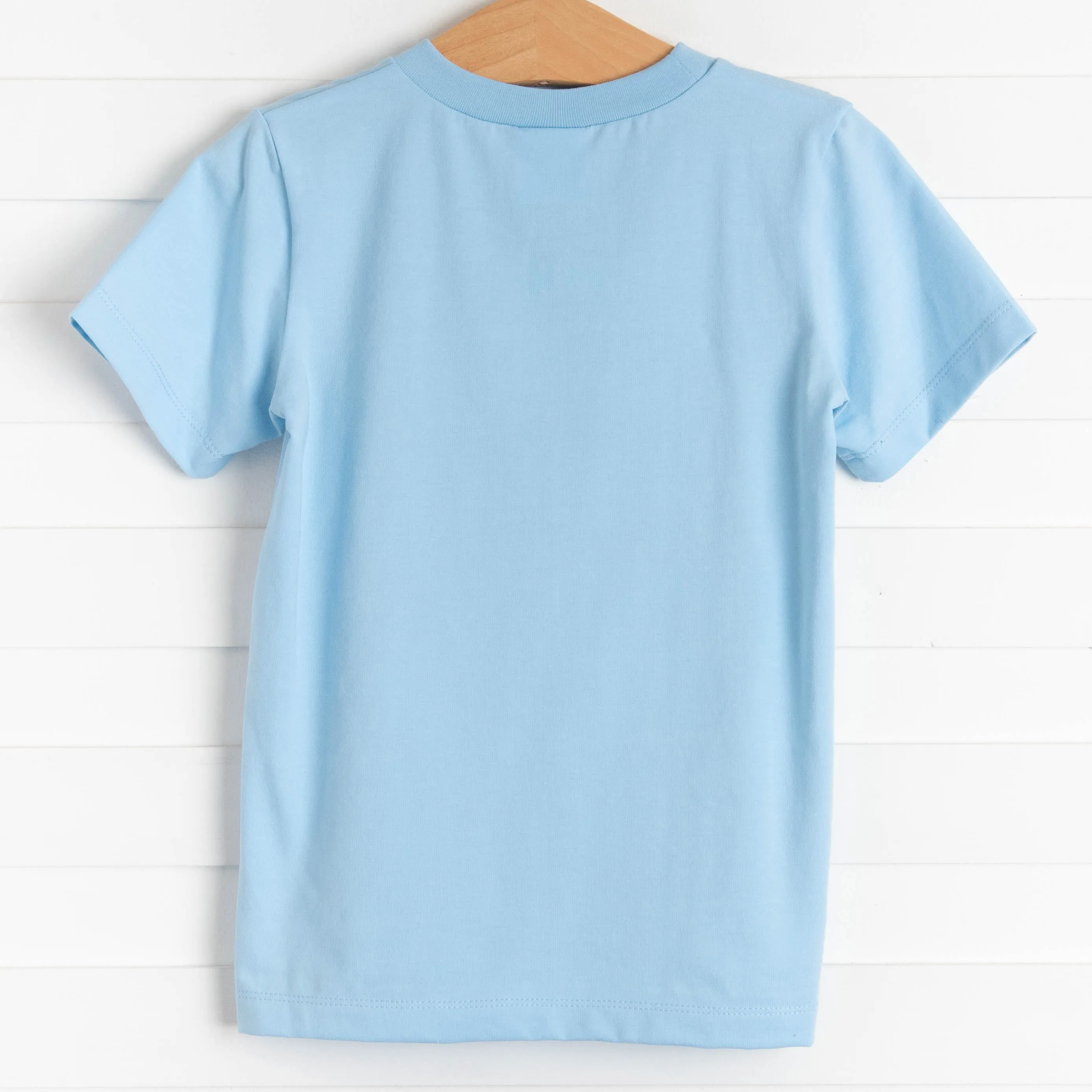 Bunny Takes Flight Applique Shirt, Blue