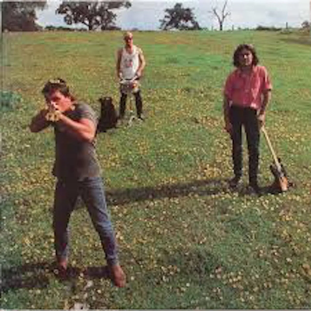 Cosmic Psychos - Down on the Farm - New LP