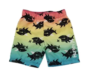 Hurley Board Shorts - 4