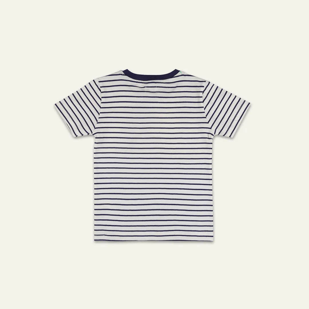 Multicoloured Stripe Print T-Shirt