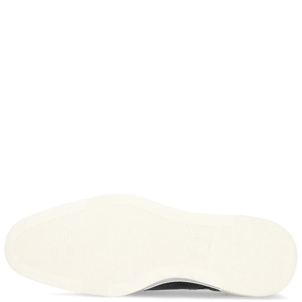 Newton 1