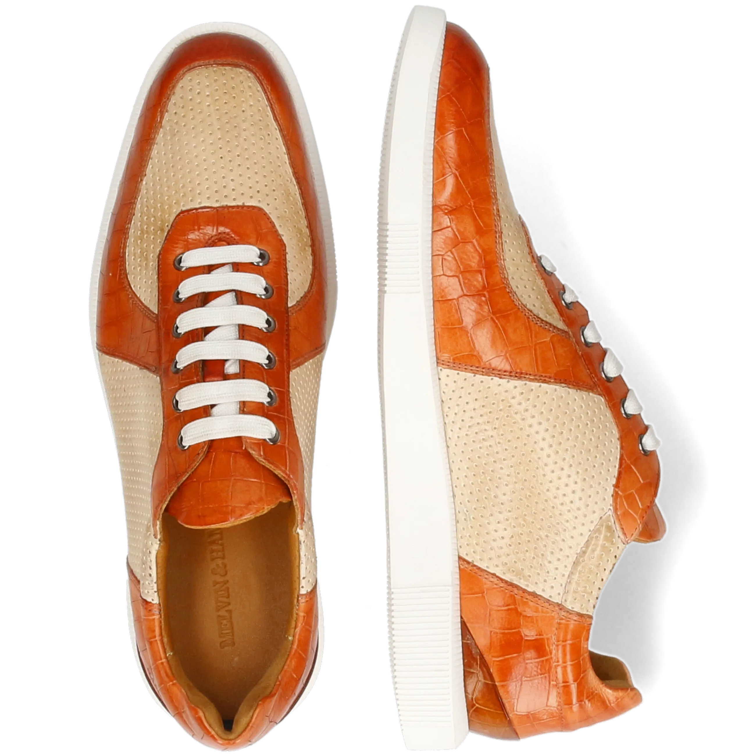 Newton 6