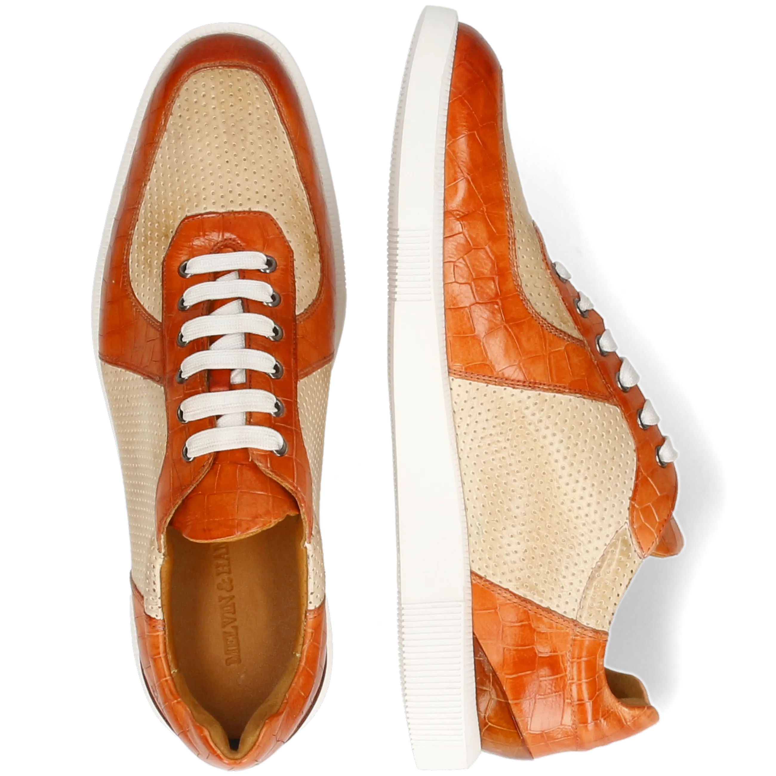 Newton 6