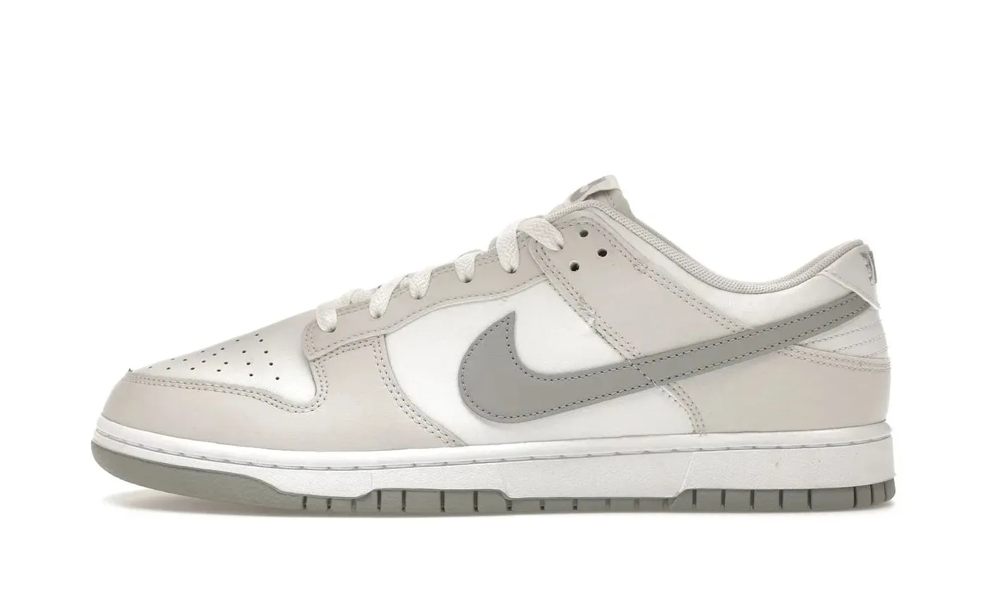 Nike Dunk Low Retro Summit White Light Smoke Grey