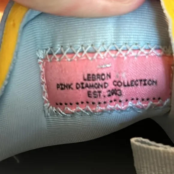 Nike Lebron 20 XX x UNKNWN Message in a Bottle Guava Ice Emerald Rise DV9090 801