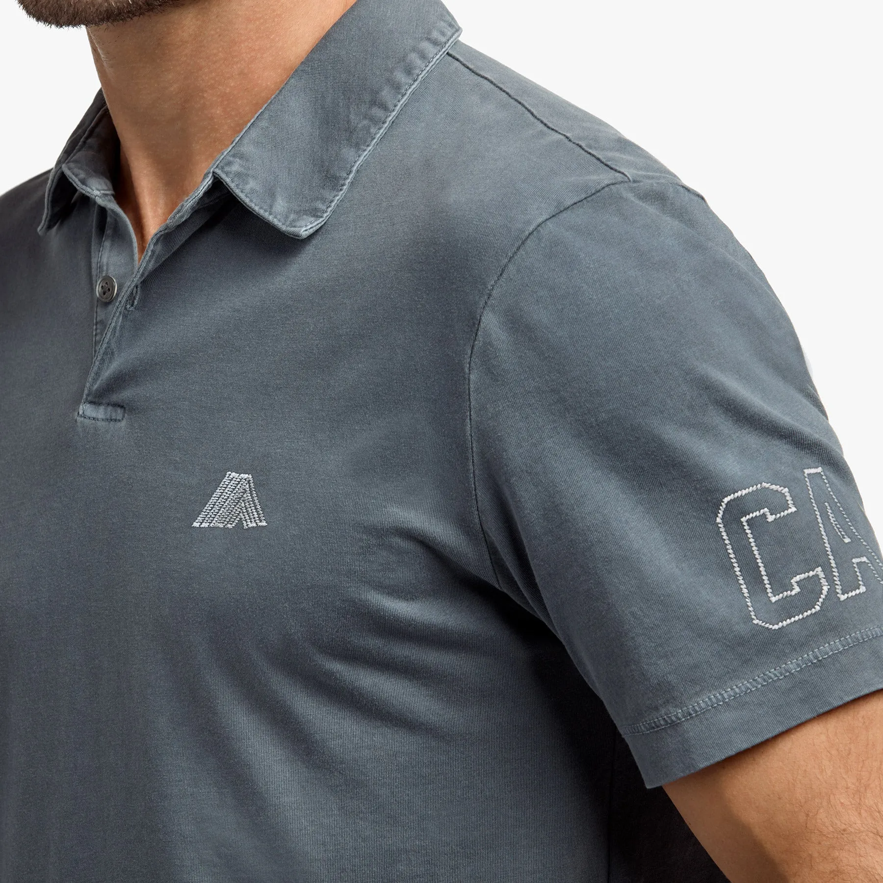 Sueded Jersey Mountain Graphic Polo - North Pigment